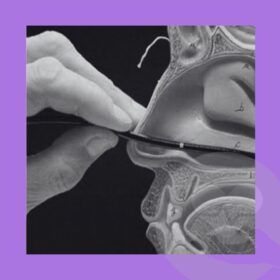 Curso online: Voz y deglución evaluación instrumental para la práctica clinica